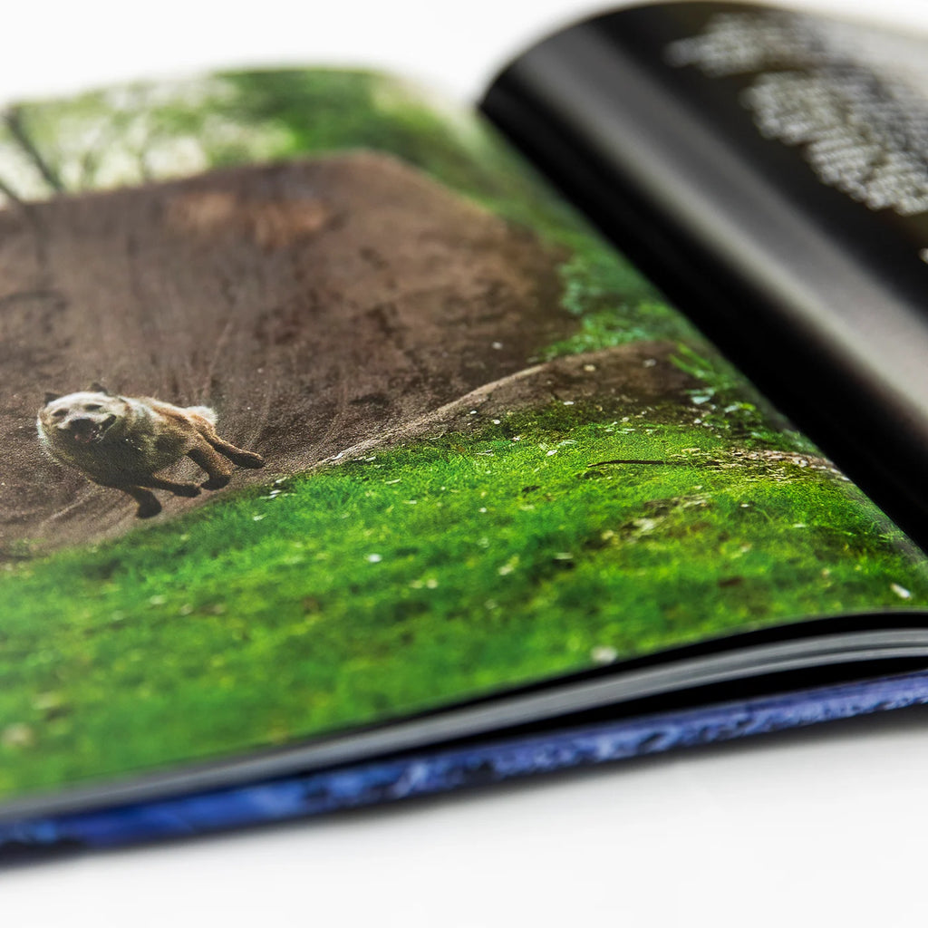 Maintain Derailed Book